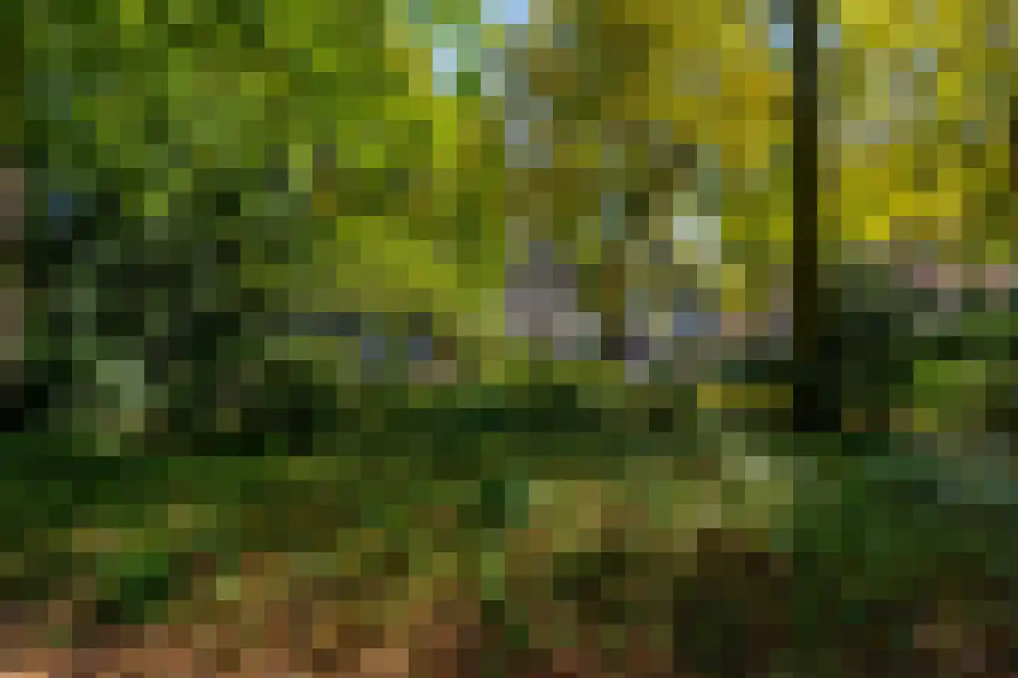 Slotlaan 82 Zeist thumbnail 5