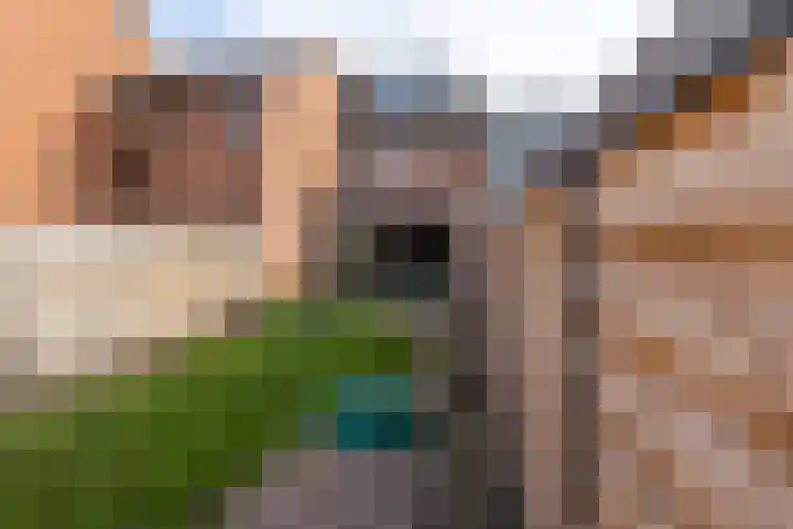 Slotlaan 83 Doetinchem thumbnail 15
