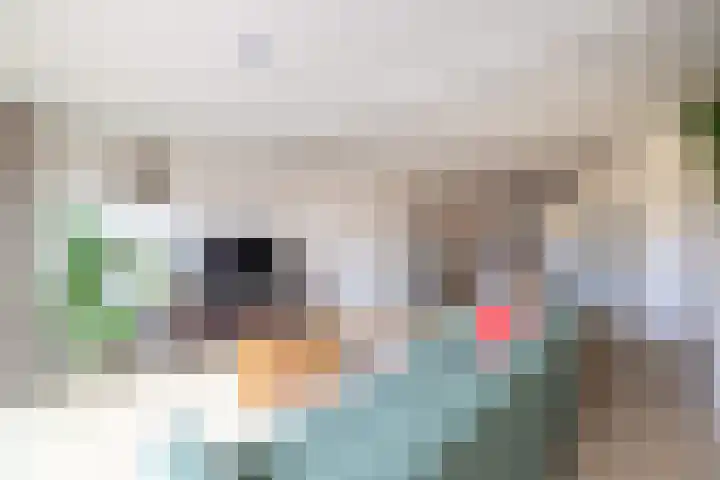 Slotlaan 83 Doetinchem thumbnail 5