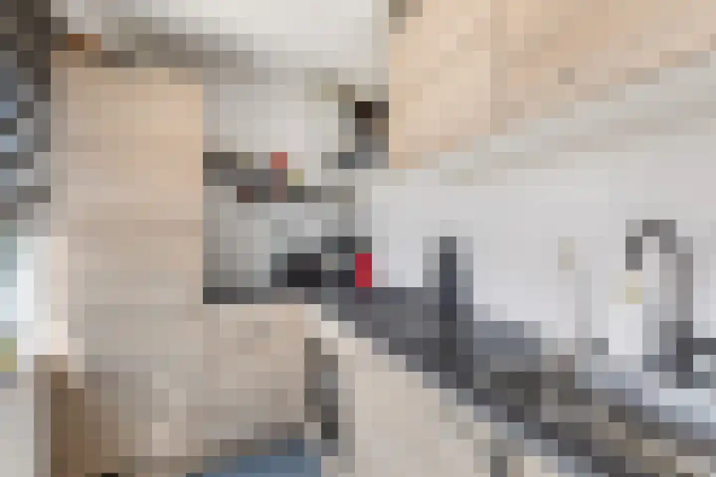Slotlaan 84 Capelle aan den IJssel thumbnail 17