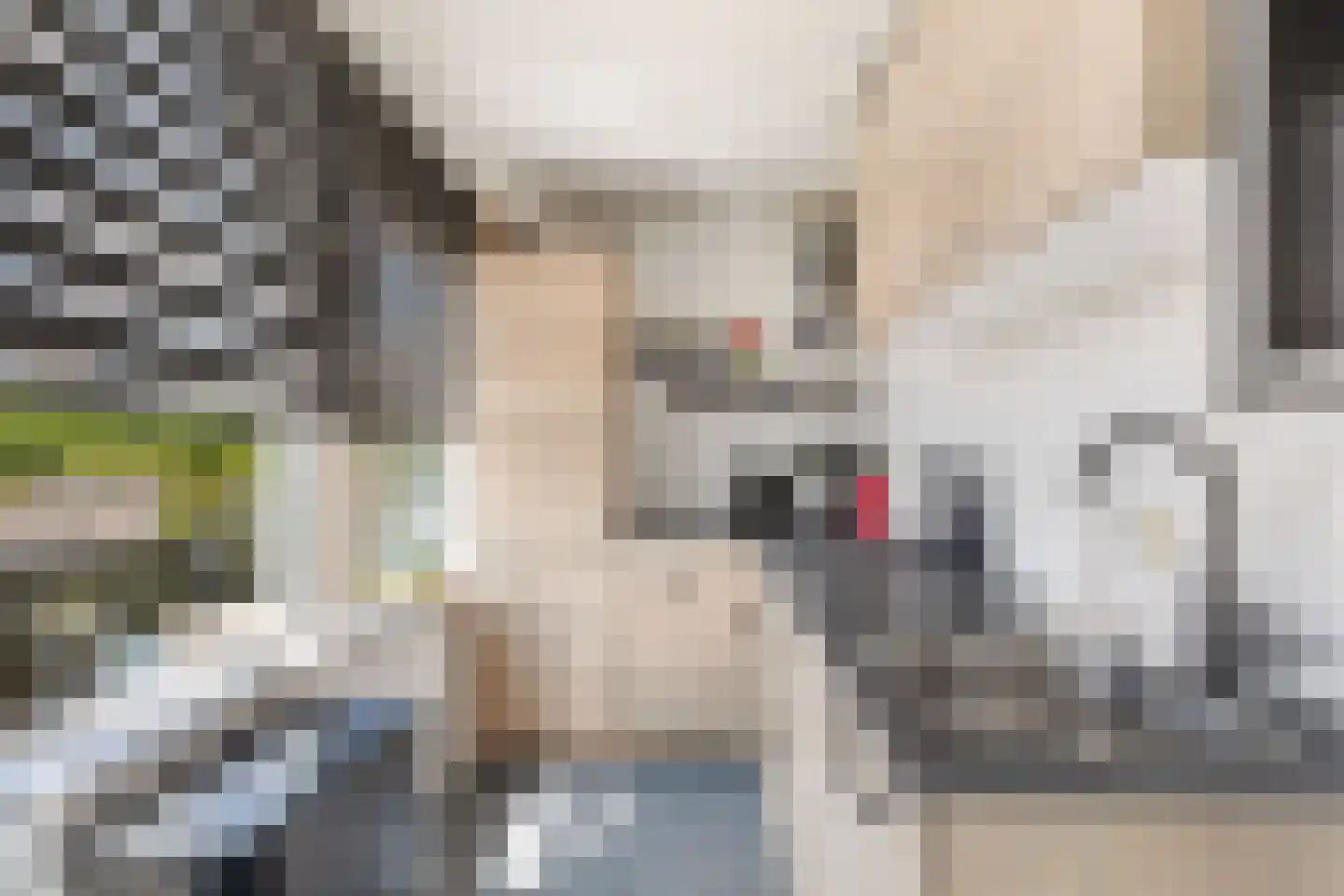 Slotlaan 84 Capelle aan den IJssel thumbnail 4