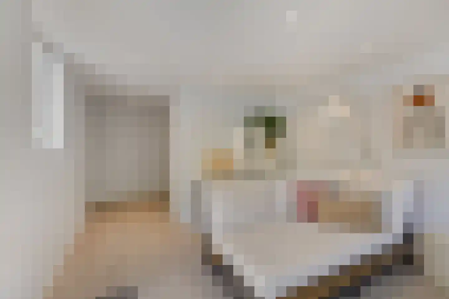 Slotlaan 86 Doetinchem thumbnail 30