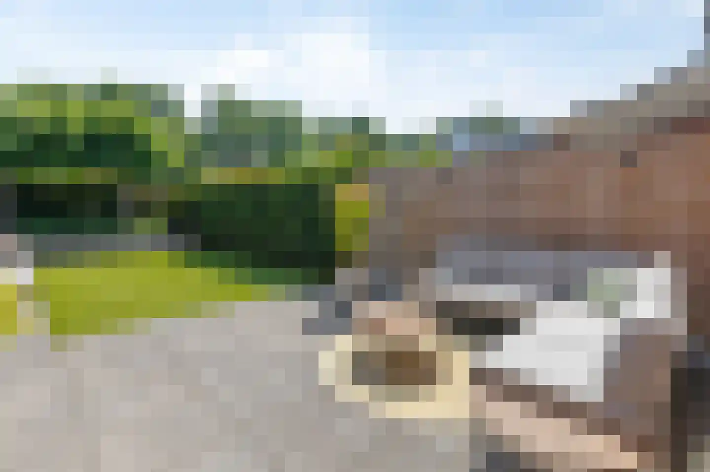 Slotlaan 86 Doetinchem thumbnail 33