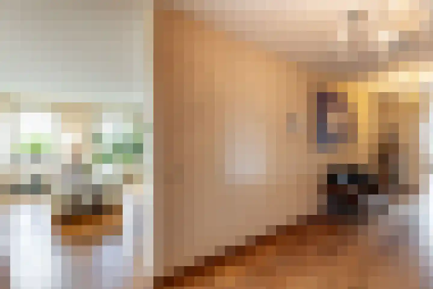 Slotlaan 86 Oostvoorne thumbnail 18