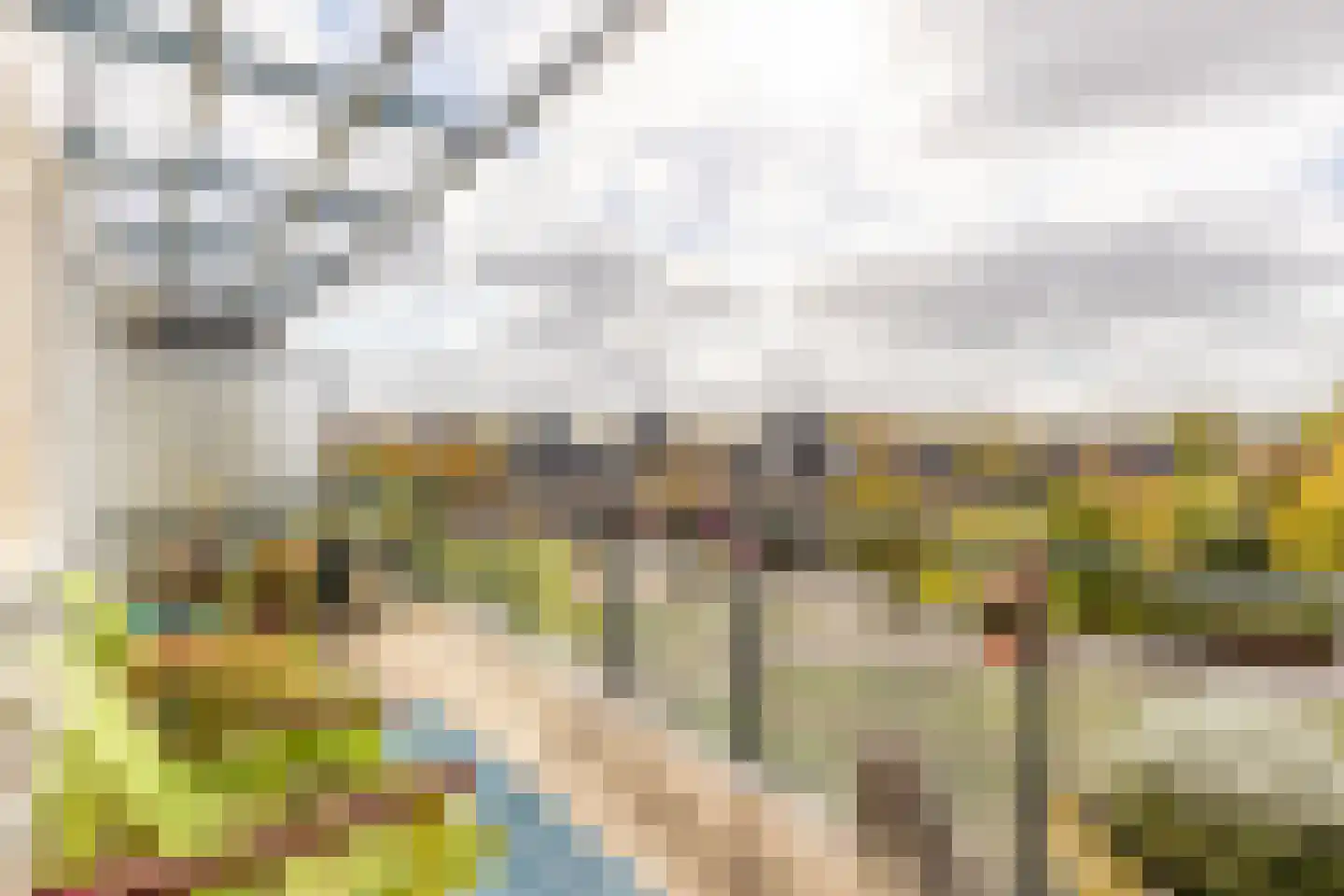 Slotlaan 86 Oostvoorne thumbnail 36