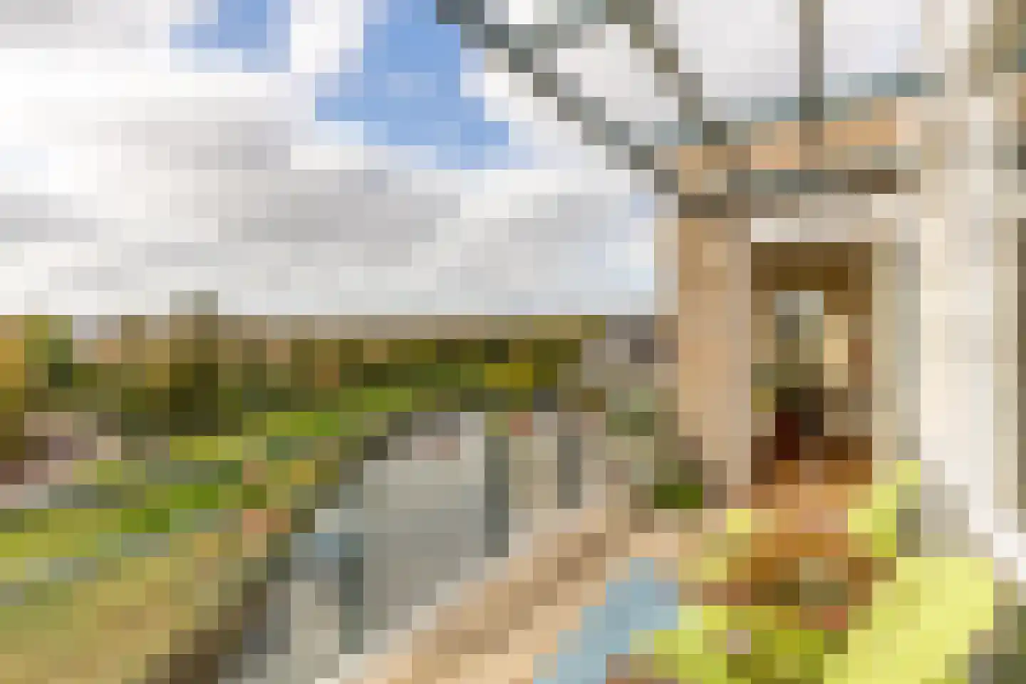 Slotlaan 86 Oostvoorne thumbnail 37