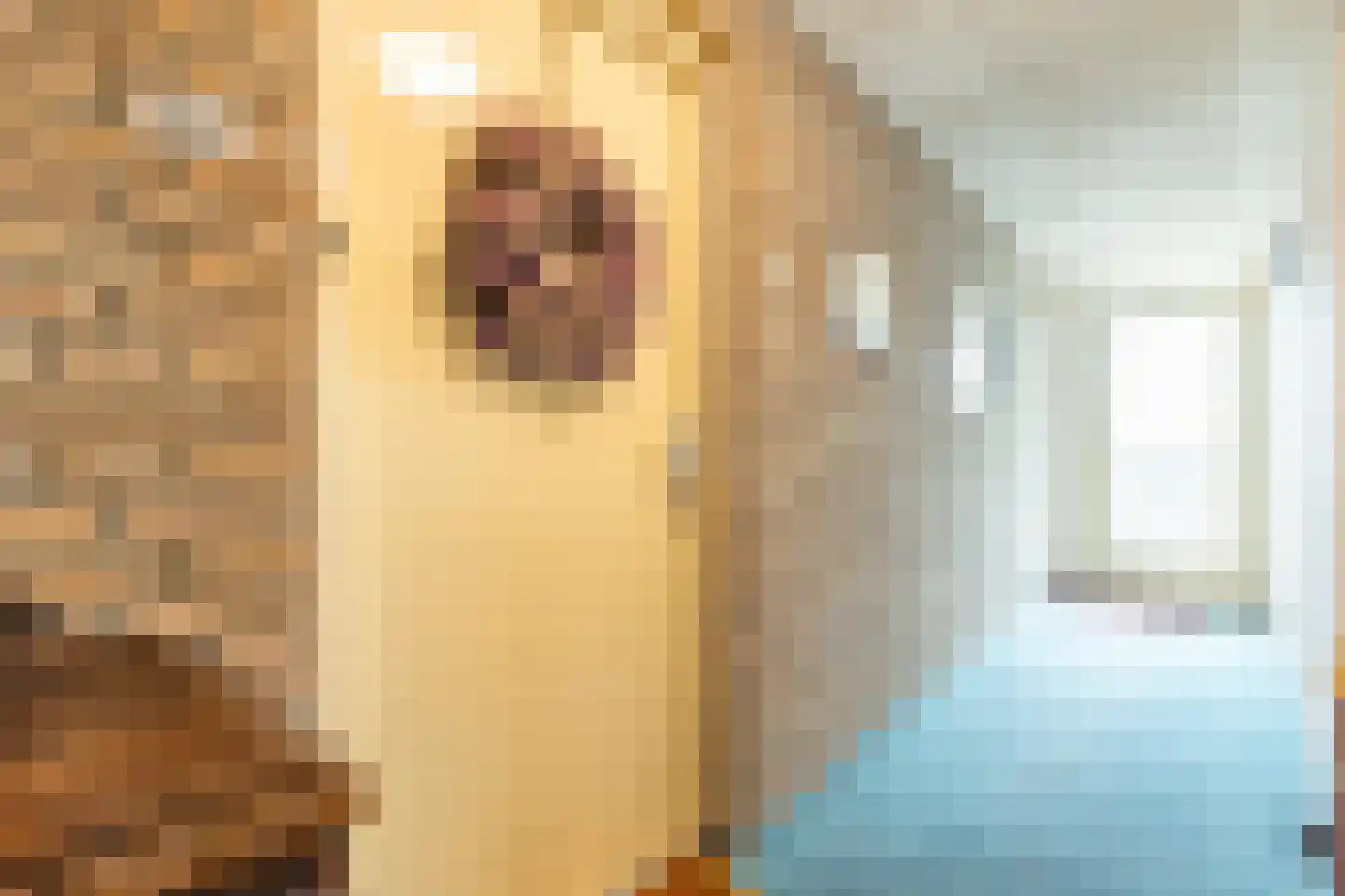 Slotlaan 86 Oostvoorne thumbnail 7
