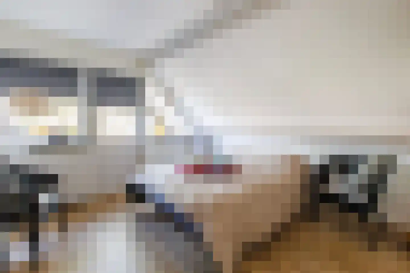 Slotlaan 9 Doetinchem thumbnail 36