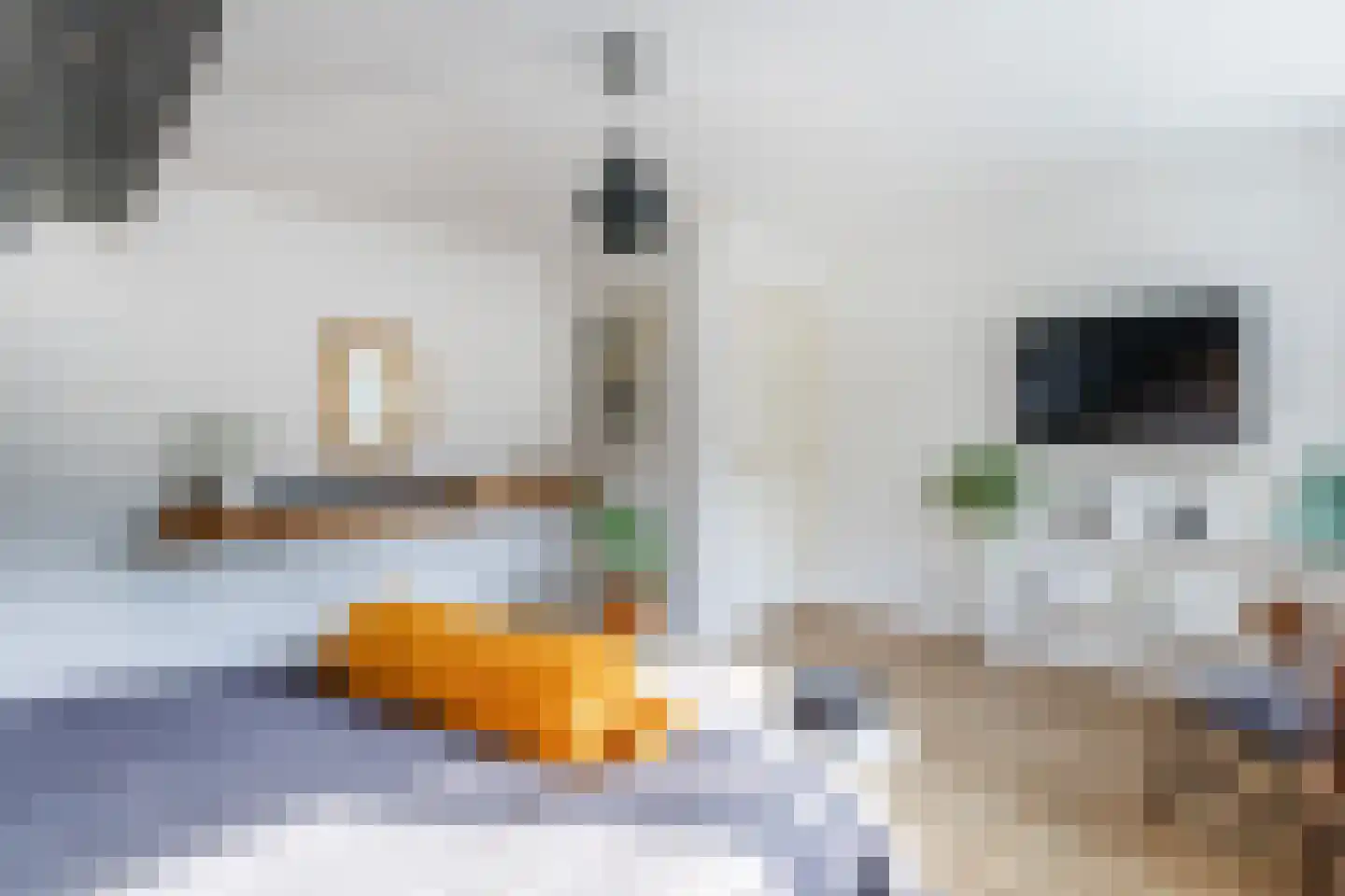 Slotlaan 9 Doetinchem thumbnail 45