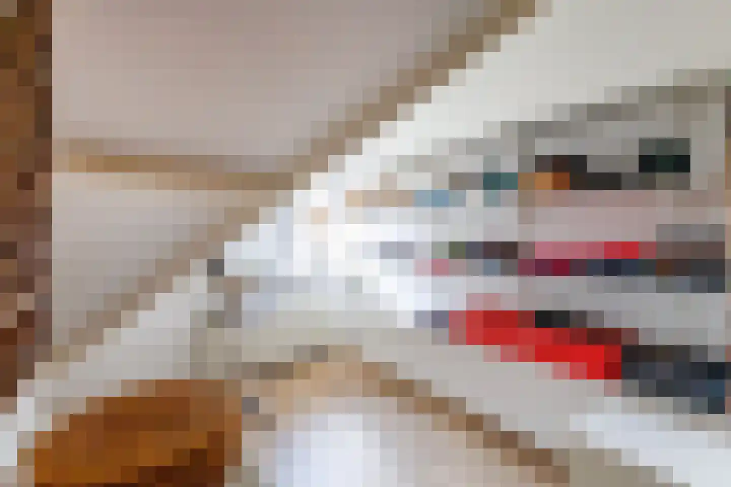 Slotlaan 9 Doetinchem thumbnail 46