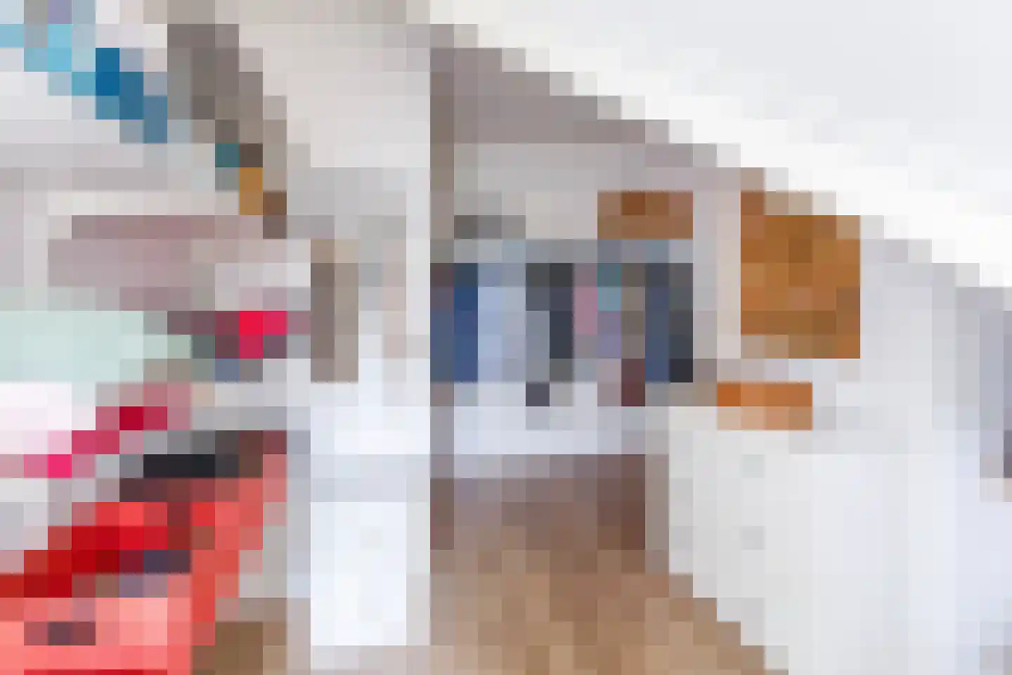 Slotlaan 9 Doetinchem thumbnail 47