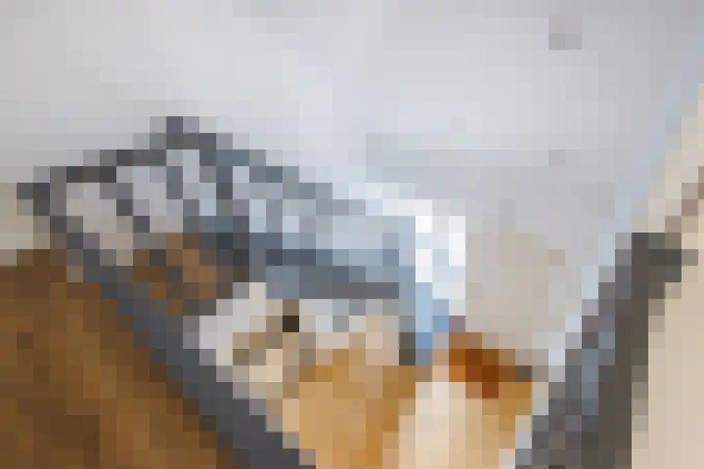 Slotlaan 9 Doetinchem thumbnail 52