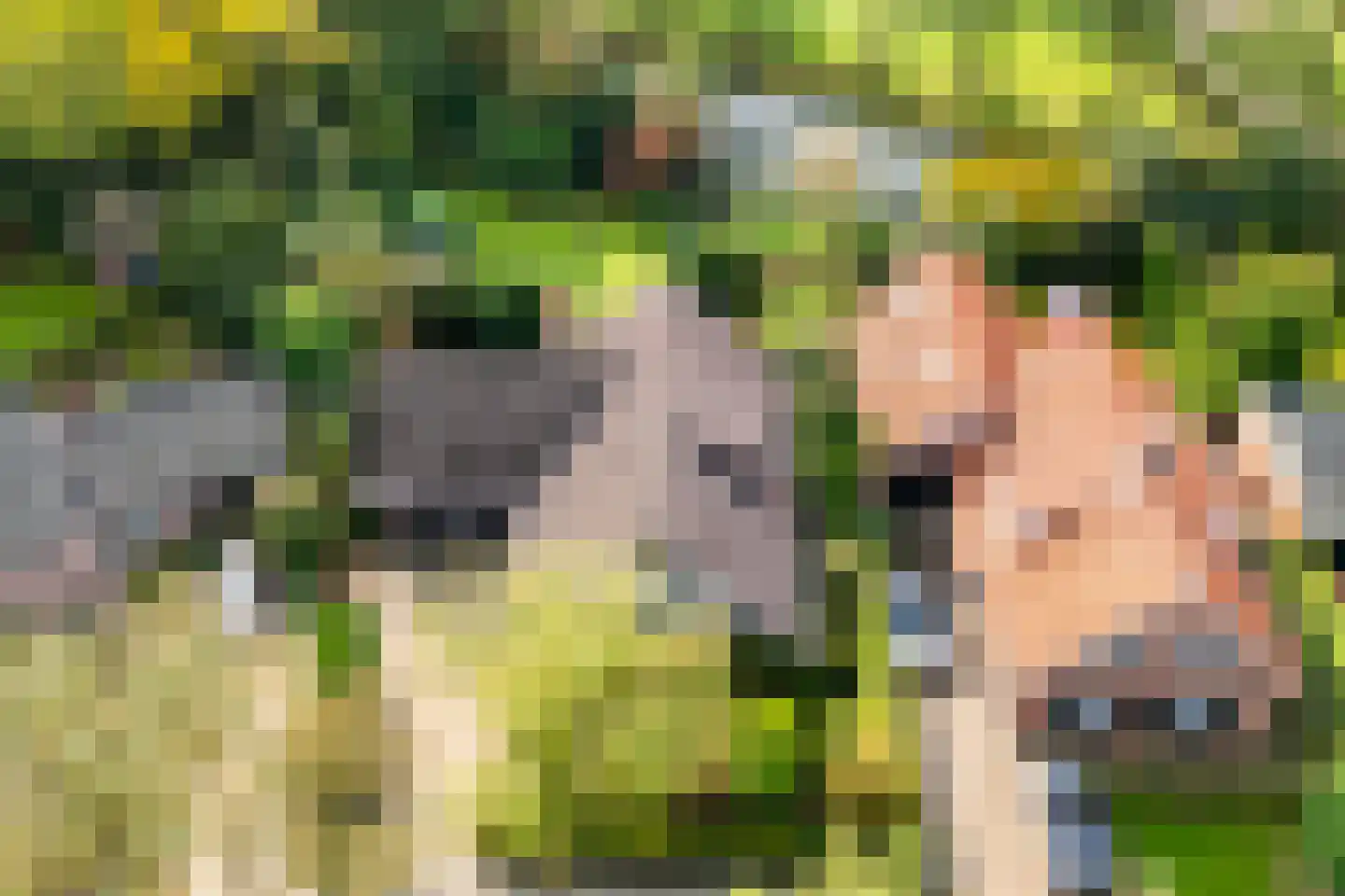 Slotlaan 9 Doetinchem thumbnail 57