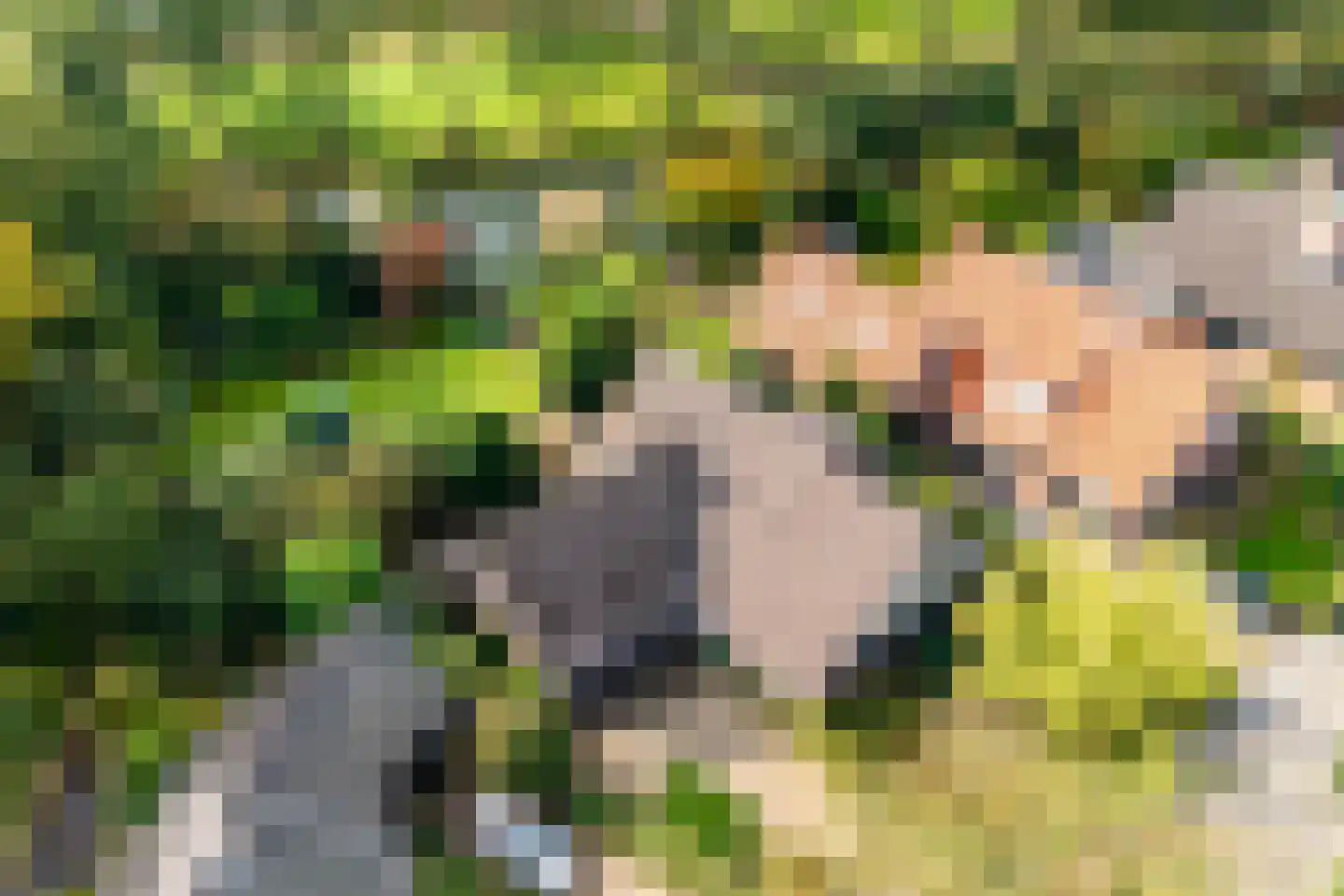 Slotlaan 9 Doetinchem thumbnail 58