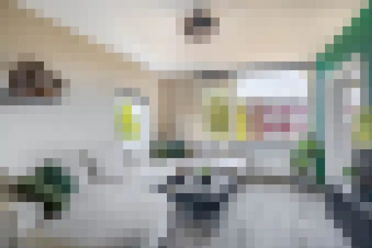 Slotlaan 93 Capelle aan den IJssel thumbnail 10