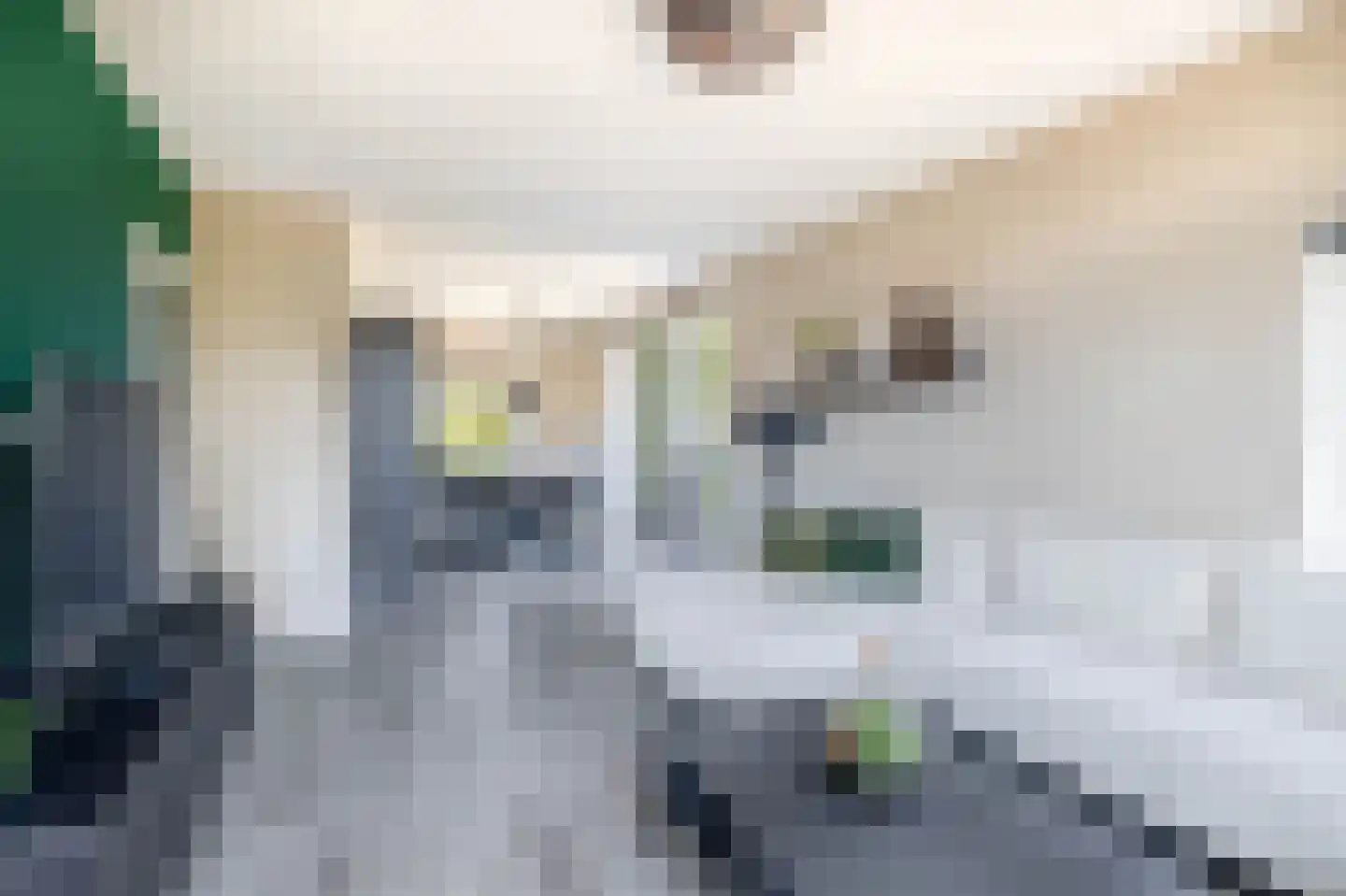 Slotlaan 93 Capelle aan den IJssel thumbnail 12