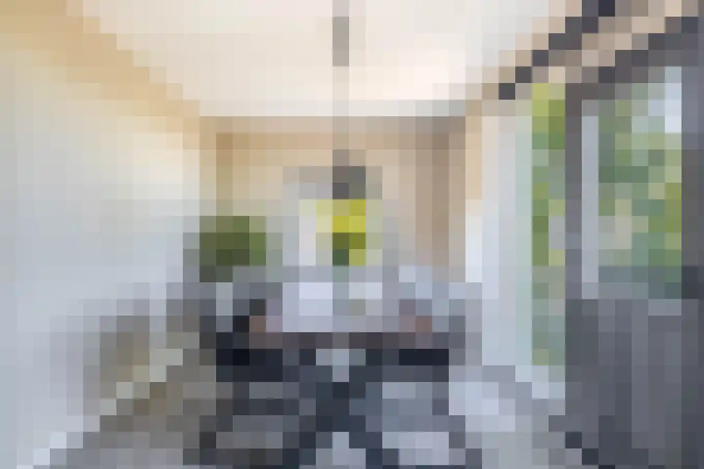 Slotlaan 93 Capelle aan den IJssel thumbnail 15