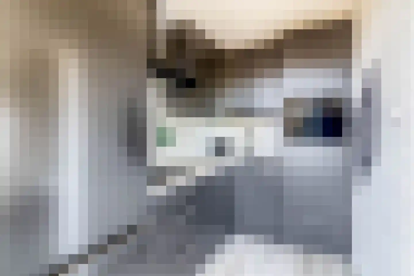 Slotlaan 93 Capelle aan den IJssel thumbnail 17