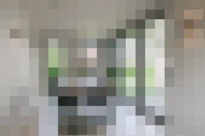 Slotlaan 93 Doetinchem thumbnail 13