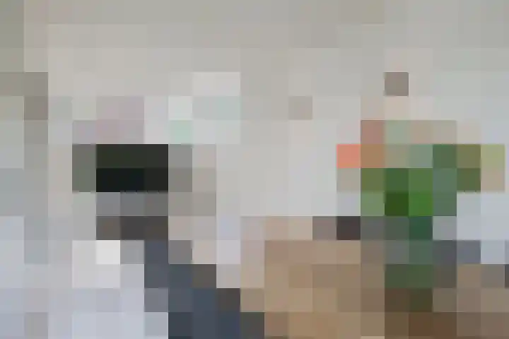 Slotlaan 93 Doetinchem thumbnail 14