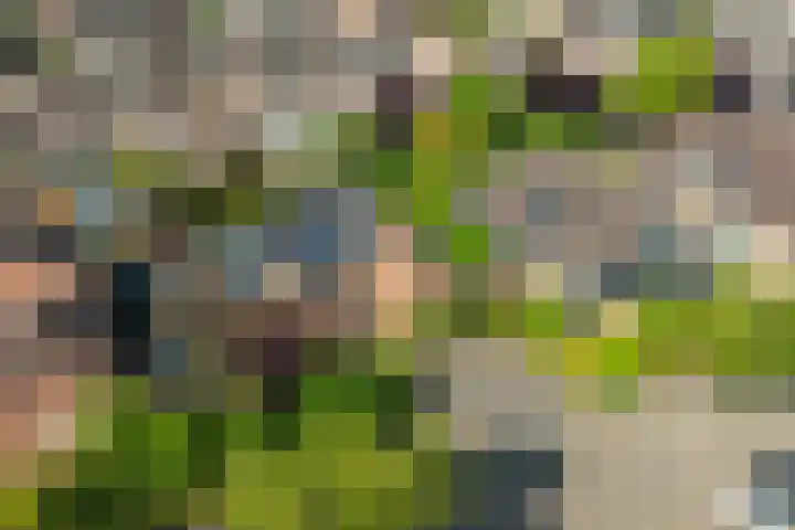 Slotlaan 93 Doetinchem thumbnail 41