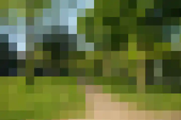 Slotlaan 94 Utrecht thumbnail 30