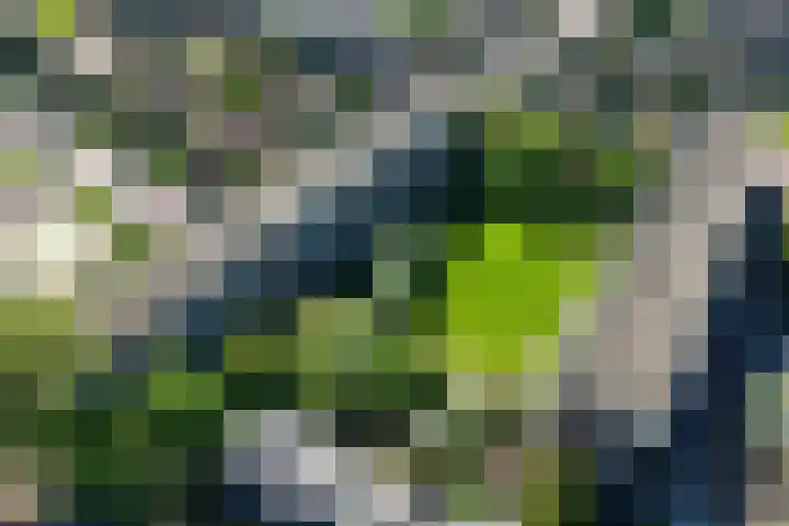 Slotlaan 94 Utrecht thumbnail 34