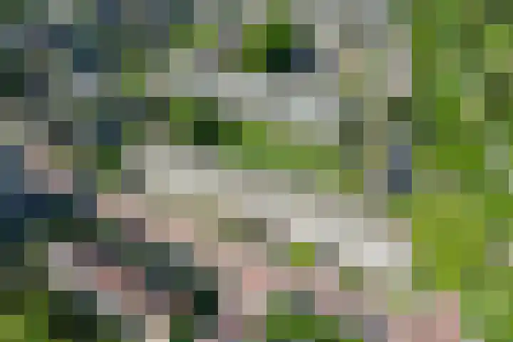 Slotlaan 94 Utrecht thumbnail 35