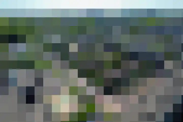 Slotlaan 94 Utrecht thumbnail 37