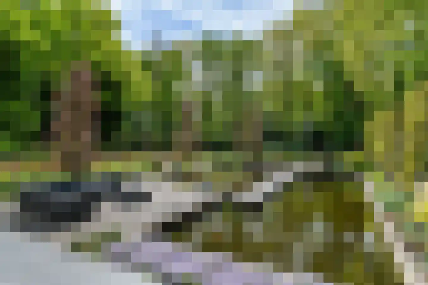 Slotleane 2 Bakkeveen thumbnail 12