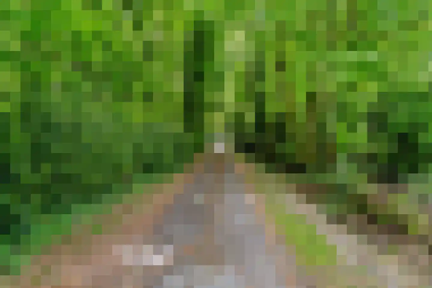 Slotleane 2 Bakkeveen thumbnail 13