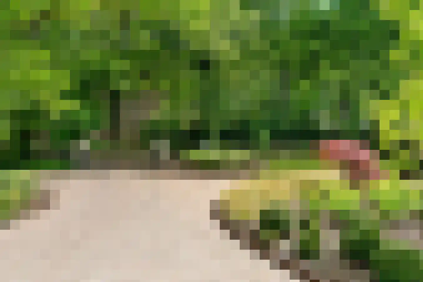 Slotleane 2 Bakkeveen thumbnail 17