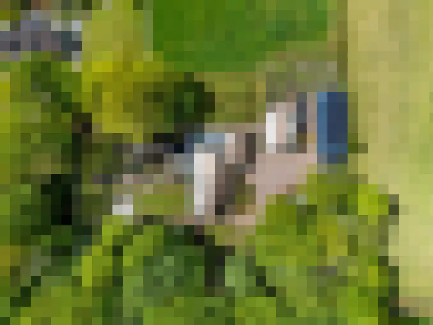 Slotleane 2 Bakkeveen thumbnail 4