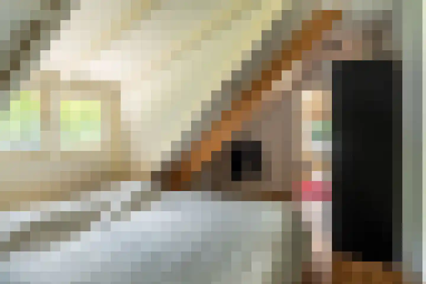 Slotleane 2 Bakkeveen thumbnail 50