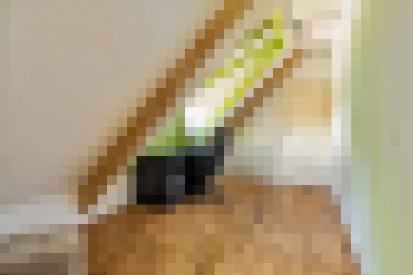 Slotleane 2 Bakkeveen thumbnail 51