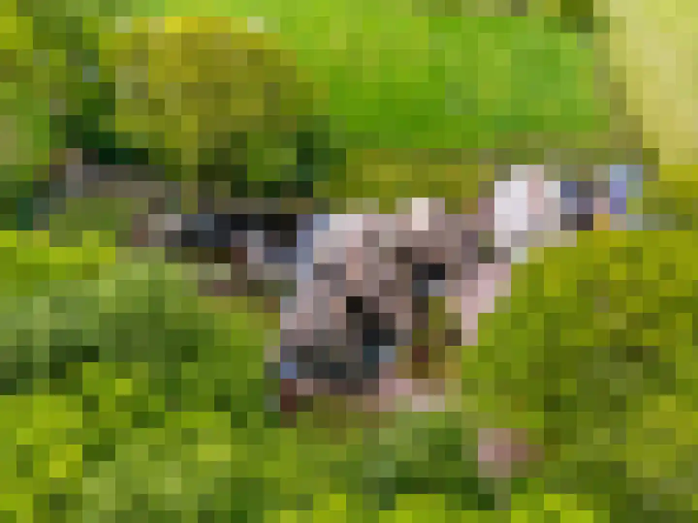 Slotleane 2 Bakkeveen thumbnail 6