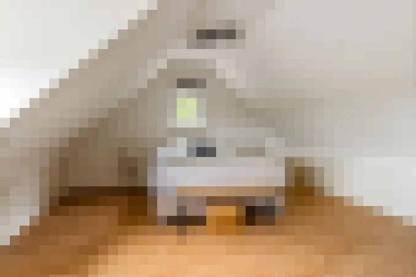 Slotleane 2 Bakkeveen thumbnail 66