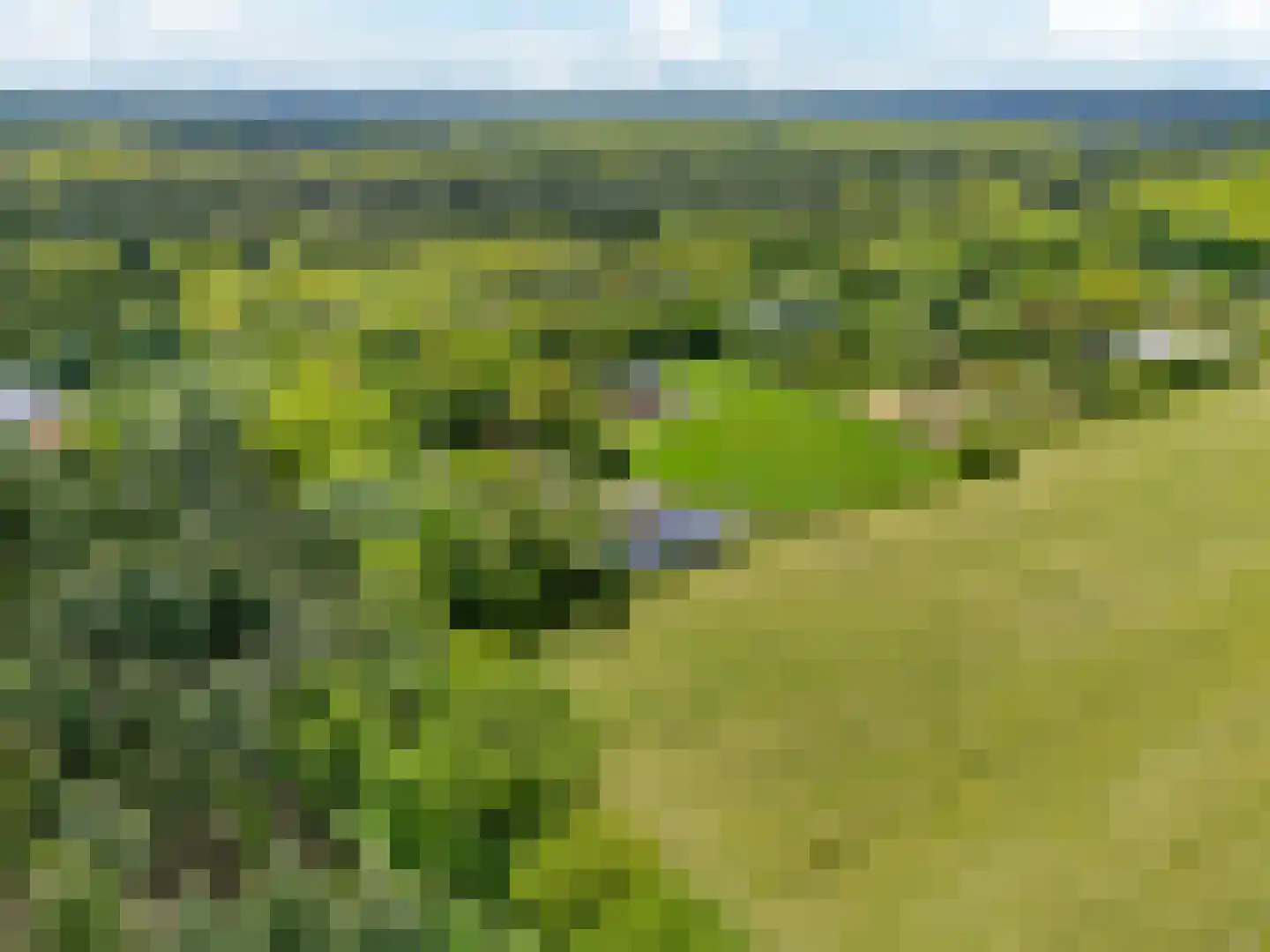 Slotleane 2 Bakkeveen thumbnail 7