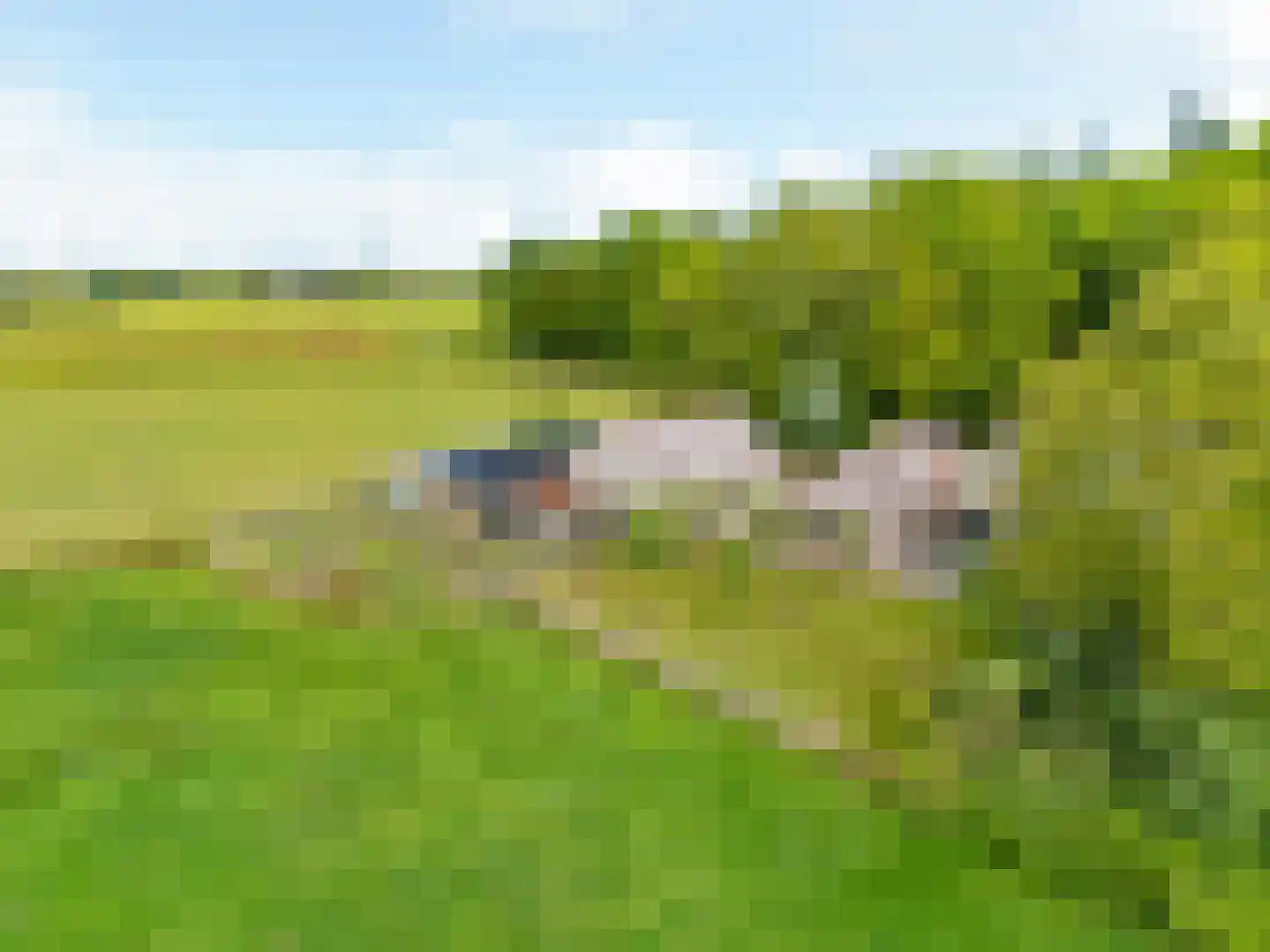 Slotleane 2 Bakkeveen thumbnail 72