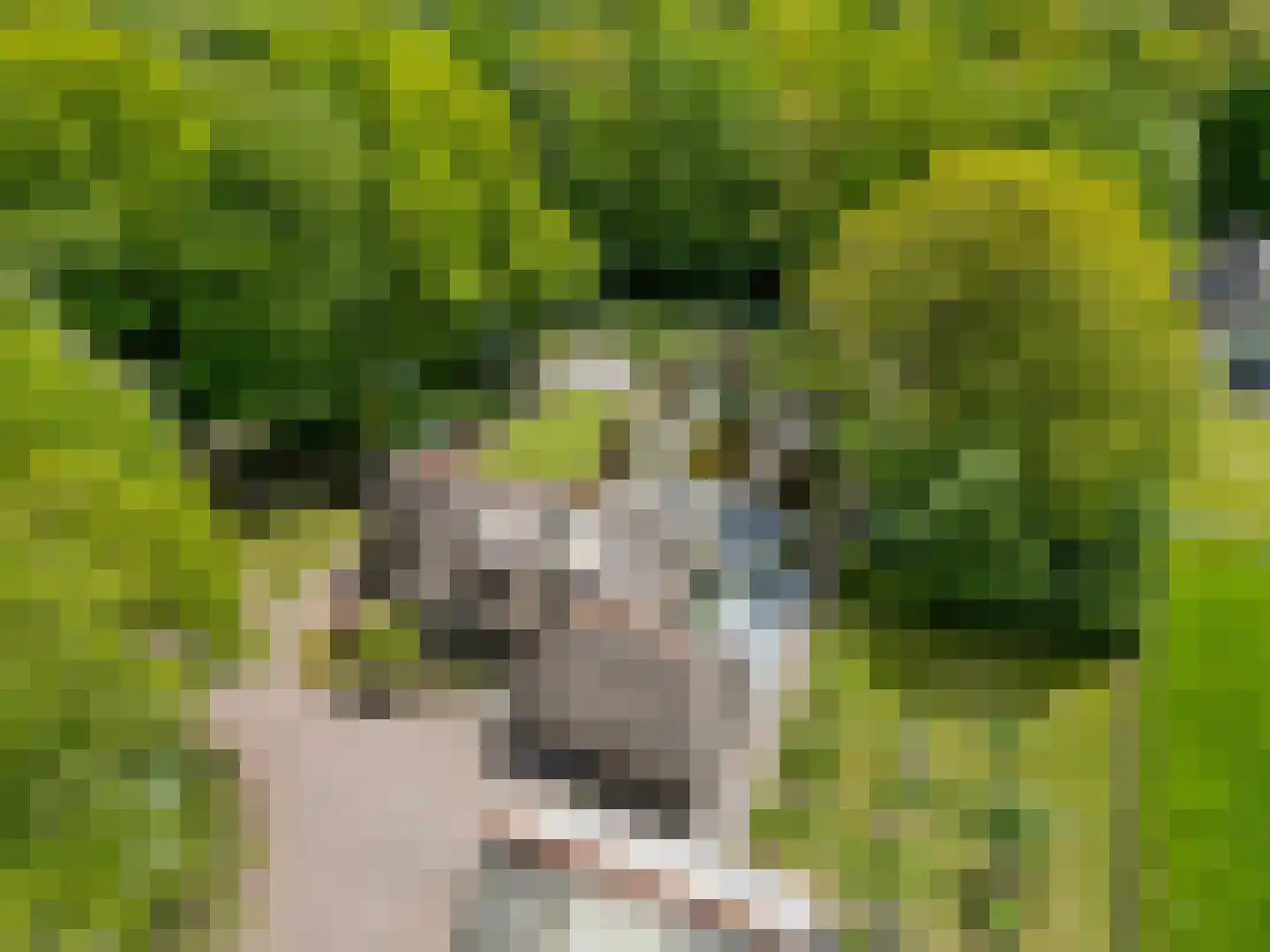 Slotleane 2 Bakkeveen thumbnail 73