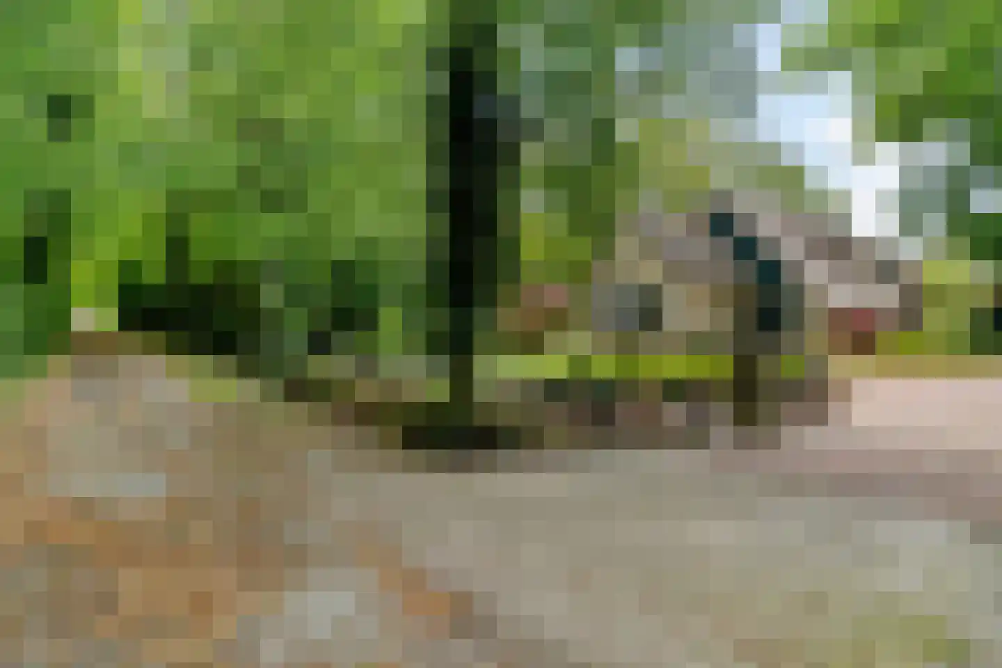 Slotleane 2 Bakkeveen thumbnail 74