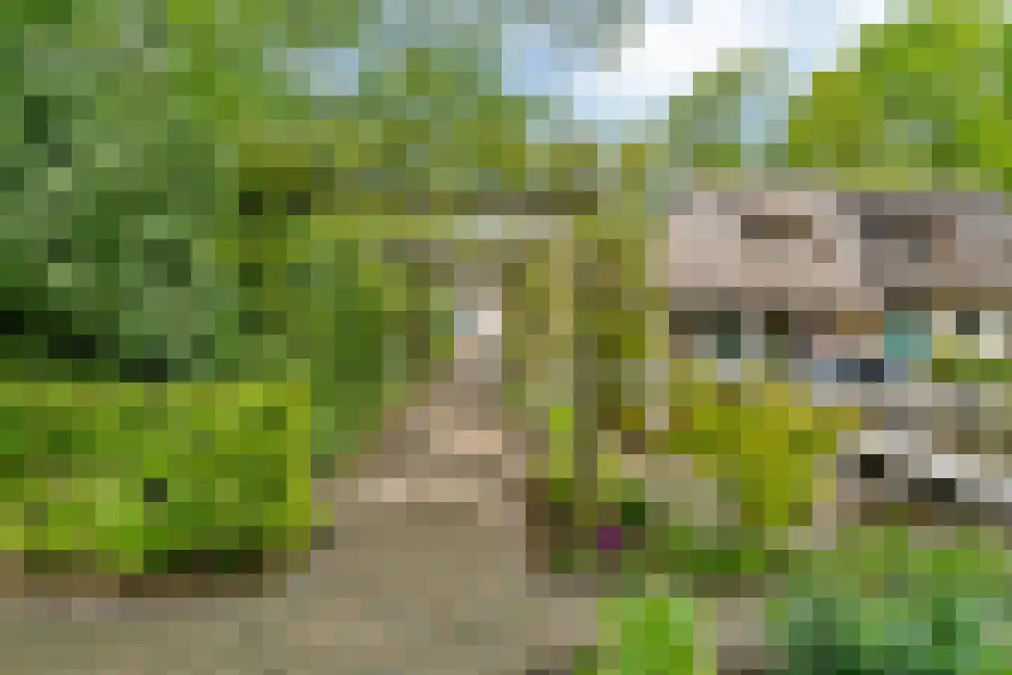 Slotleane 2 Bakkeveen thumbnail 81