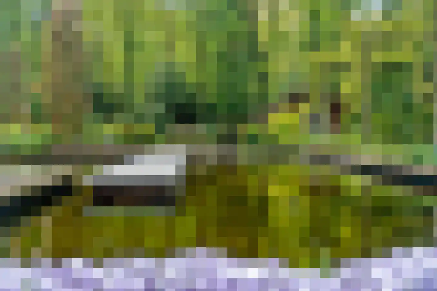 Slotleane 2 Bakkeveen thumbnail 86