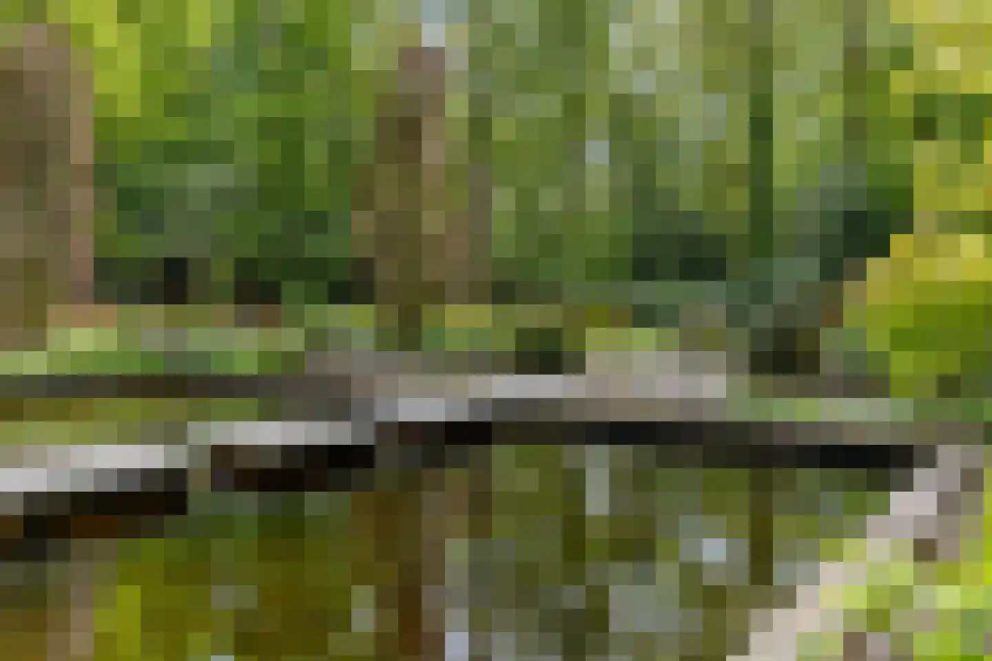 Slotleane 2 Bakkeveen thumbnail 88