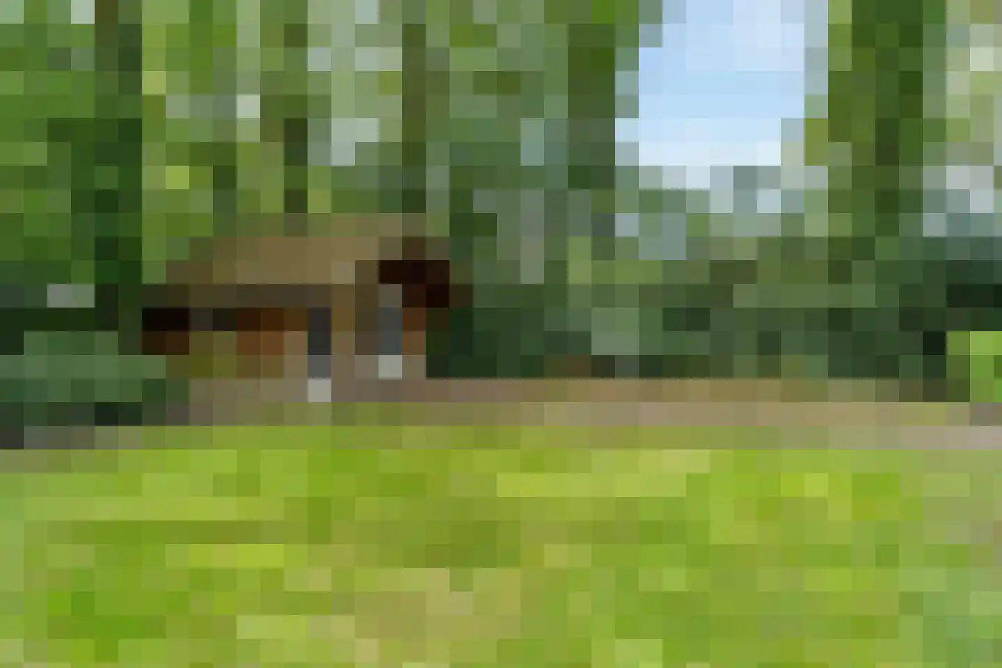 Slotleane 2 Bakkeveen thumbnail 89