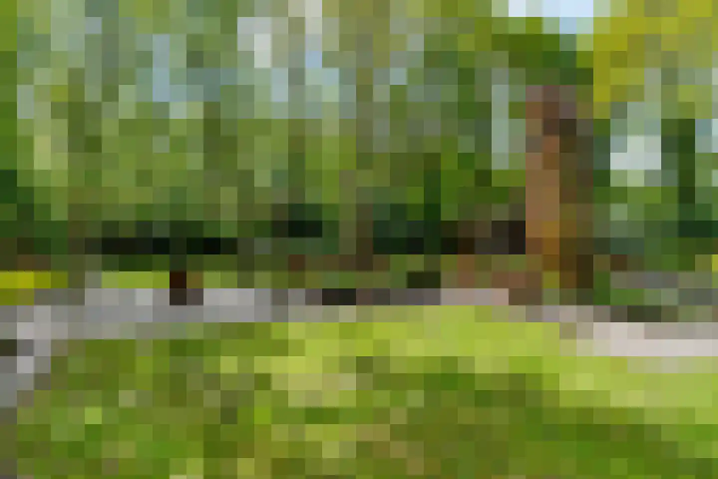 Slotleane 2 Bakkeveen thumbnail 90