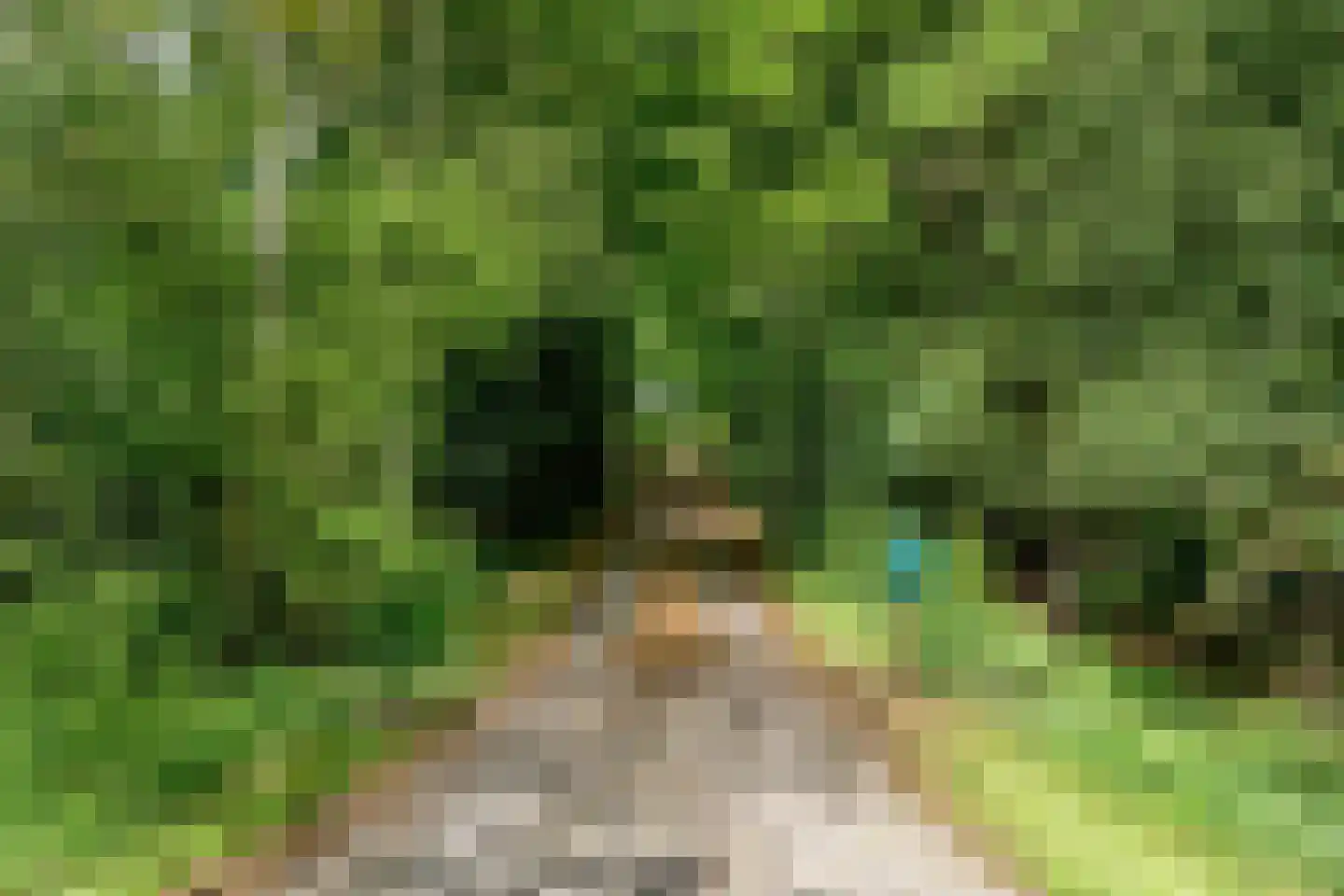Slotleane 2 Bakkeveen thumbnail 92