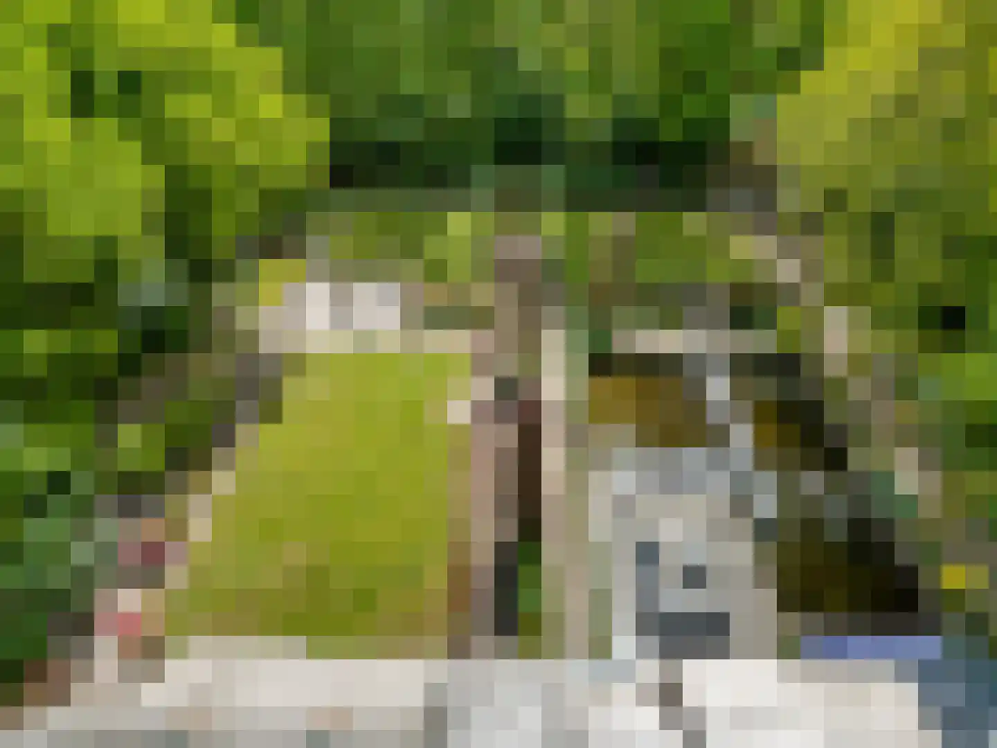 Slotleane 2 Bakkeveen thumbnail 93