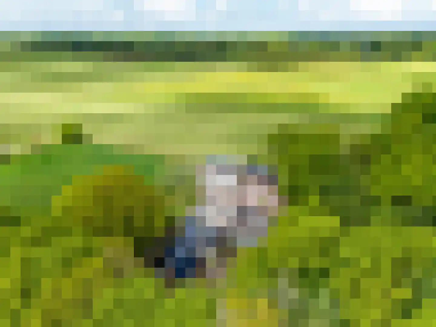 Slotleane 2 Bakkeveen thumbnail 94