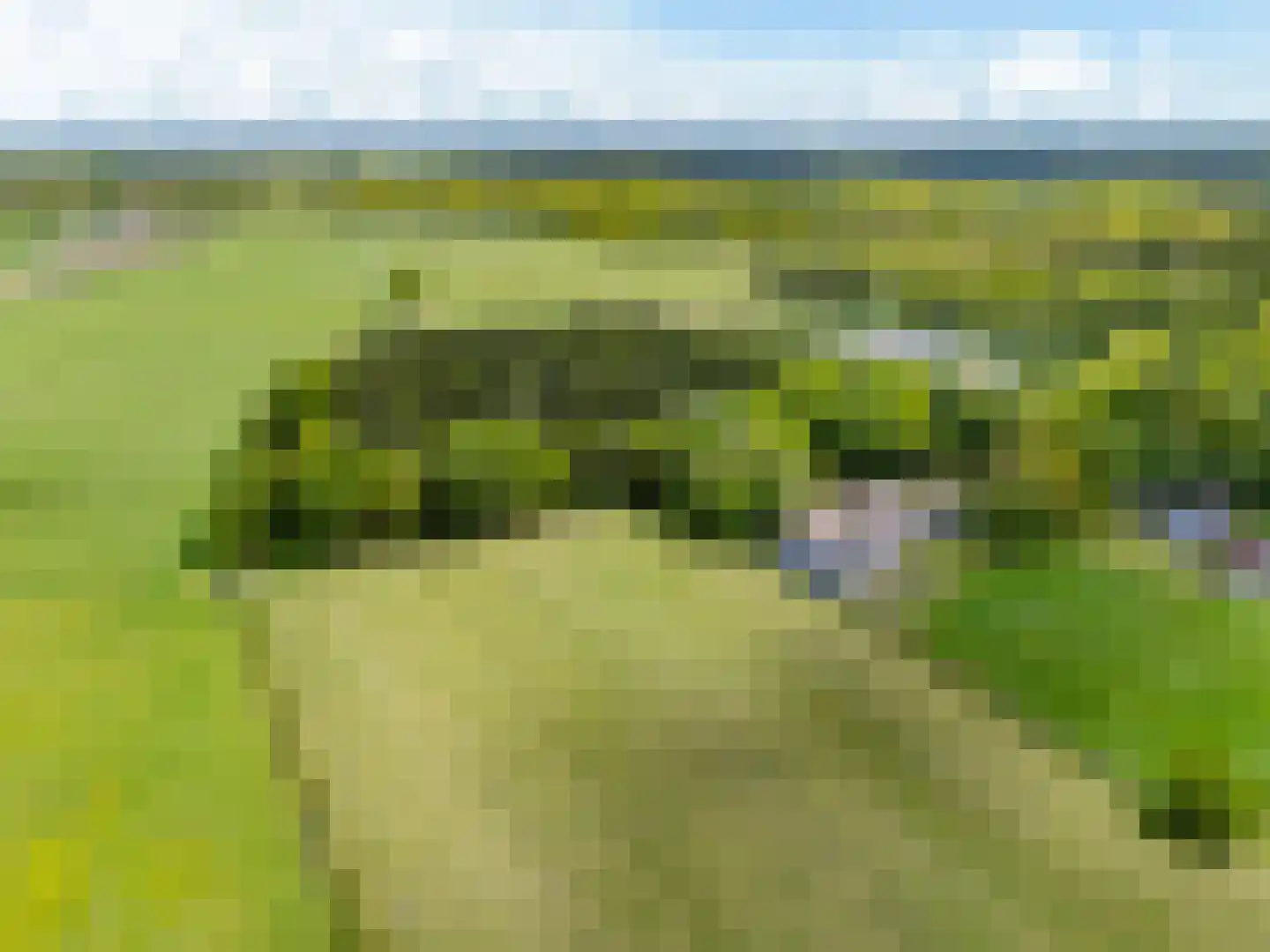Slotleane 2 Bakkeveen thumbnail 95